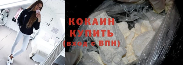 a pvp Бородино