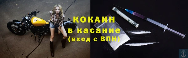 a pvp Бородино